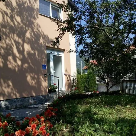 Toni * Gračac